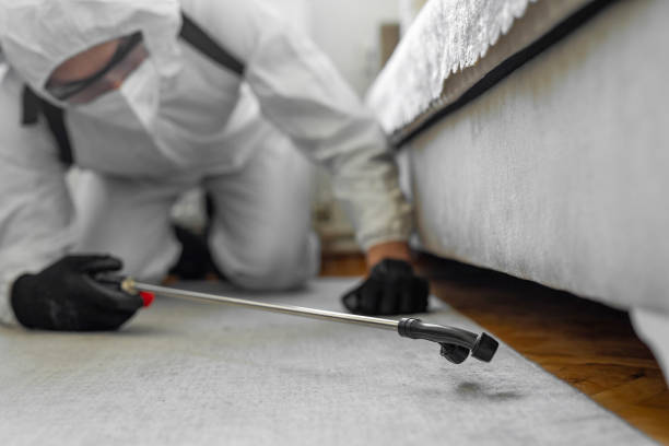 Professional Cockroach Control technician working in Uvalde Estates, TX